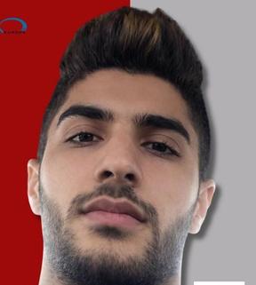 امیرارسلان قهرمانی