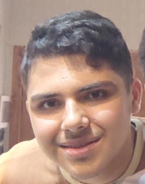 محمد اسلامی