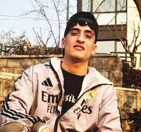 محمدرضا حسنی