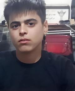 مهدی مهمدی کرتلایی