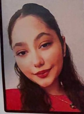 نیوشا حمیدی