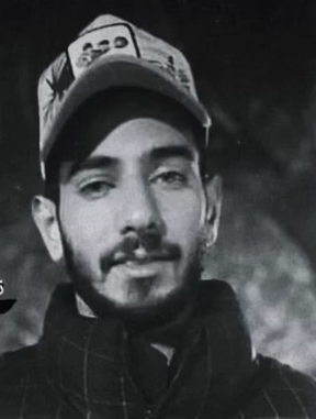 پویا پرمون کلاردهی